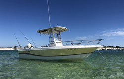 Deep sea thrills just off Bay Pines shores! 